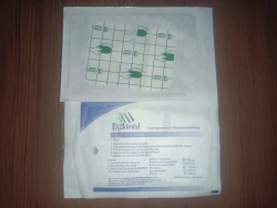 Rizkimed Transparent I.V Wound Dressing 6 X 8